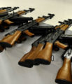 Hungarian SWAT Seize Cache of Functional Assault Rifles to Be Used as World War Z Props