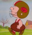 You're in the Super Bowl, Charlie Brown (1994)