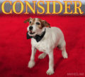 Consider Uggie, Day 63: Martin Scorsese Calls Out Artist Wonder Dog; Facebook Fans Surpass 10K