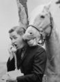 Talkback: Seriously, Who Asked For a Mister Ed Movie?