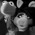 What Are the Implications of the Muppets-Girl with the Dragon Tattoo Parody Trailer?