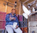 Mike Tyson Announces Reality Show About Secret Obsession: Pigeon Racing