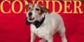 Consider Uggie, Day 38: Artist Wonder Dog Takes England, Wins French Prize