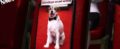 VIDEO: Suicidal Uggie, Oscar Cats Take Center Stage in Animated Awards Recap