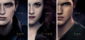 Breaking Dawn character posters