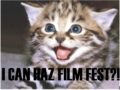 The Internet Cat Video Film Festival Should Be Interesting