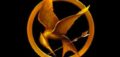 Mocking The $999 Mockingjay Pin: If You've Got Money To Blow, Have We Got Some Memorabilia For You!