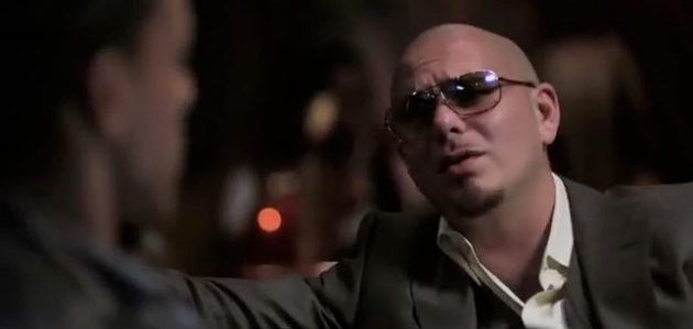 Blood Money Pitbull