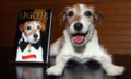 Uggie Publishes Memoirs And Woofs Through Paris