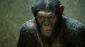 Cloverfield's Matt Reeves To Direct Sequel Dawn Of The Planet Of The Apes